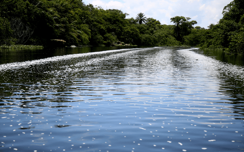 Aria Filtra Municipal Drinking Water Filtration Treatment